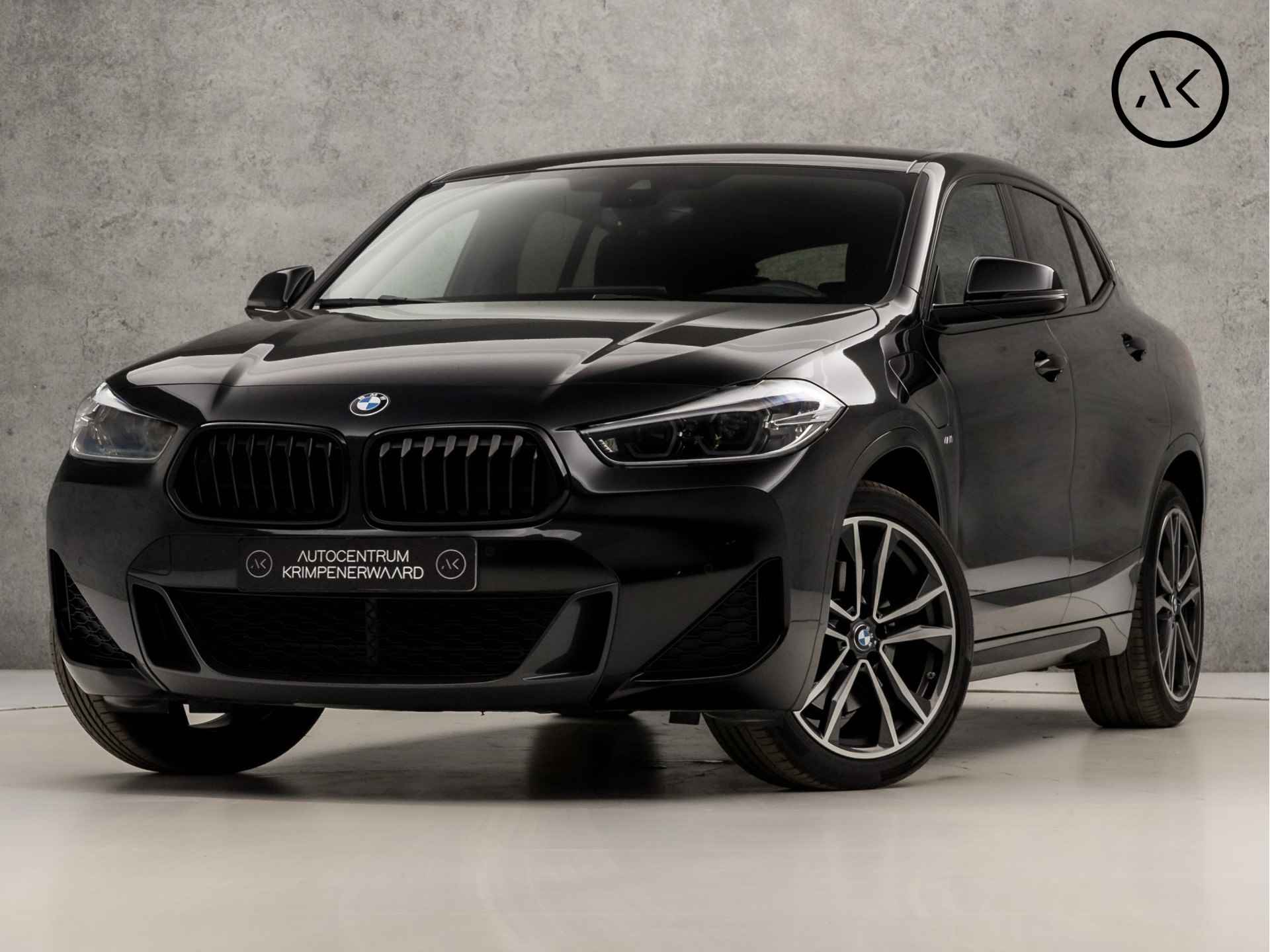 BMW X2 xDrive25e High Executive M Sport 221Pk Automaat (APPLE CARPLAY, M-PAKKET, GROOT NAVI, DEALER ONDERHOUDEN, STOELVERWARMING, LEDER, SPORTSTOELEN, SFEERVERLICHTING, GETINT GLAS, ZWART HEMEL, DAB+, NIEUWSTAAT) - 1/41