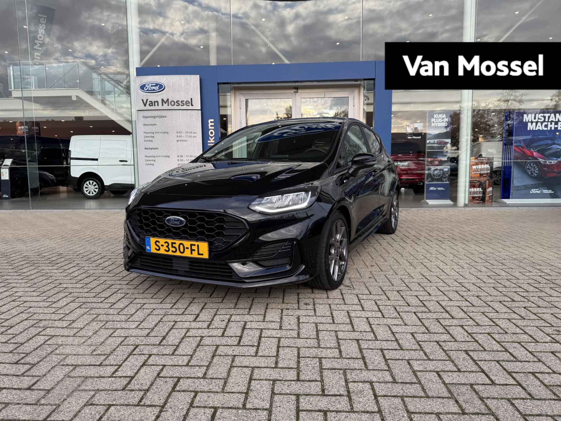 Ford Fiesta BOVAG 40-Puntencheck