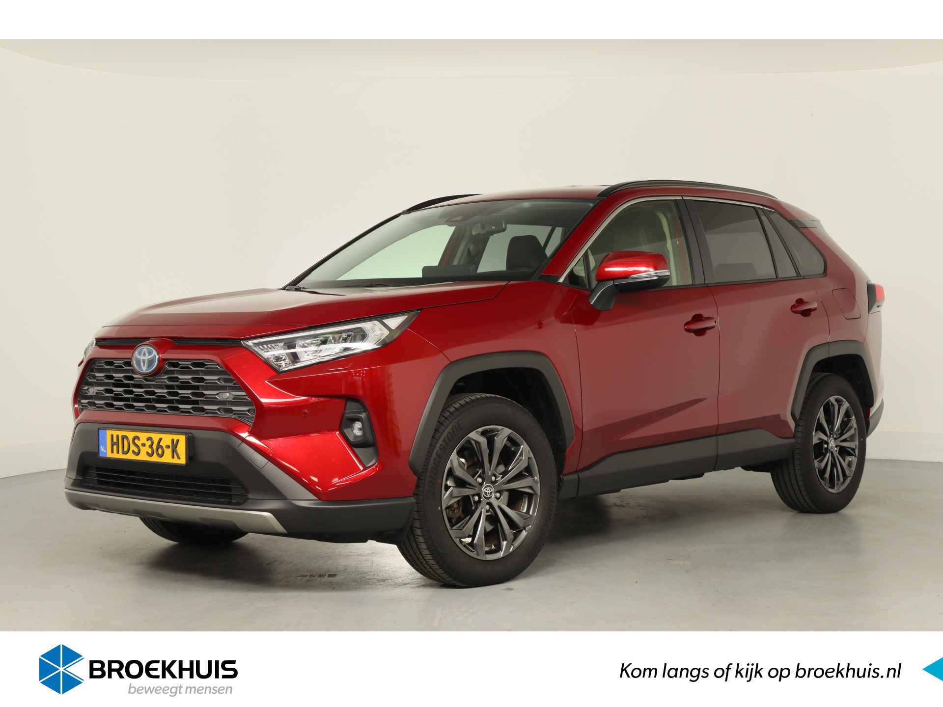 Toyota RAV4 BOVAG 40-Puntencheck