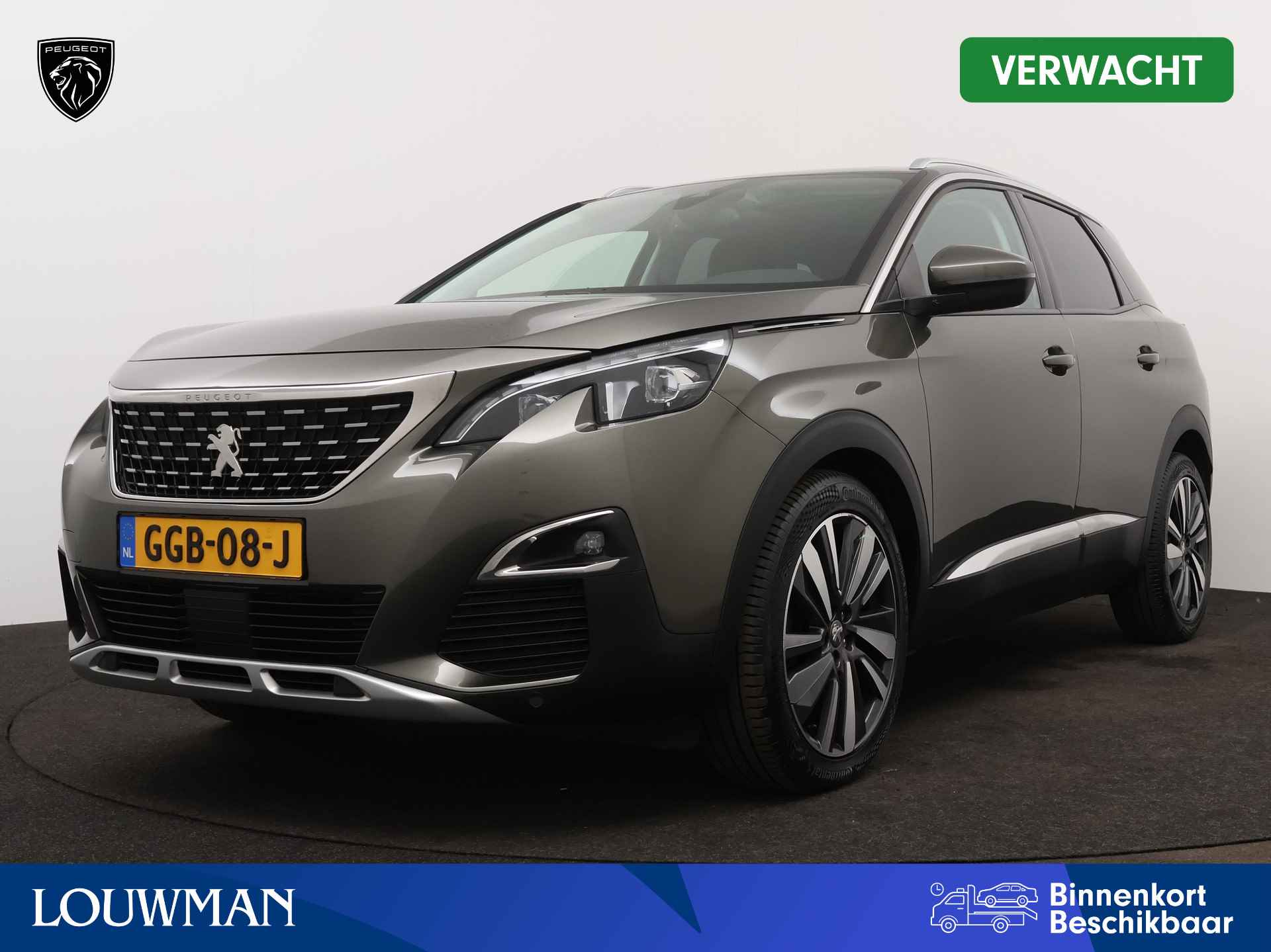 Peugeot 3008 BOVAG 40-Puntencheck