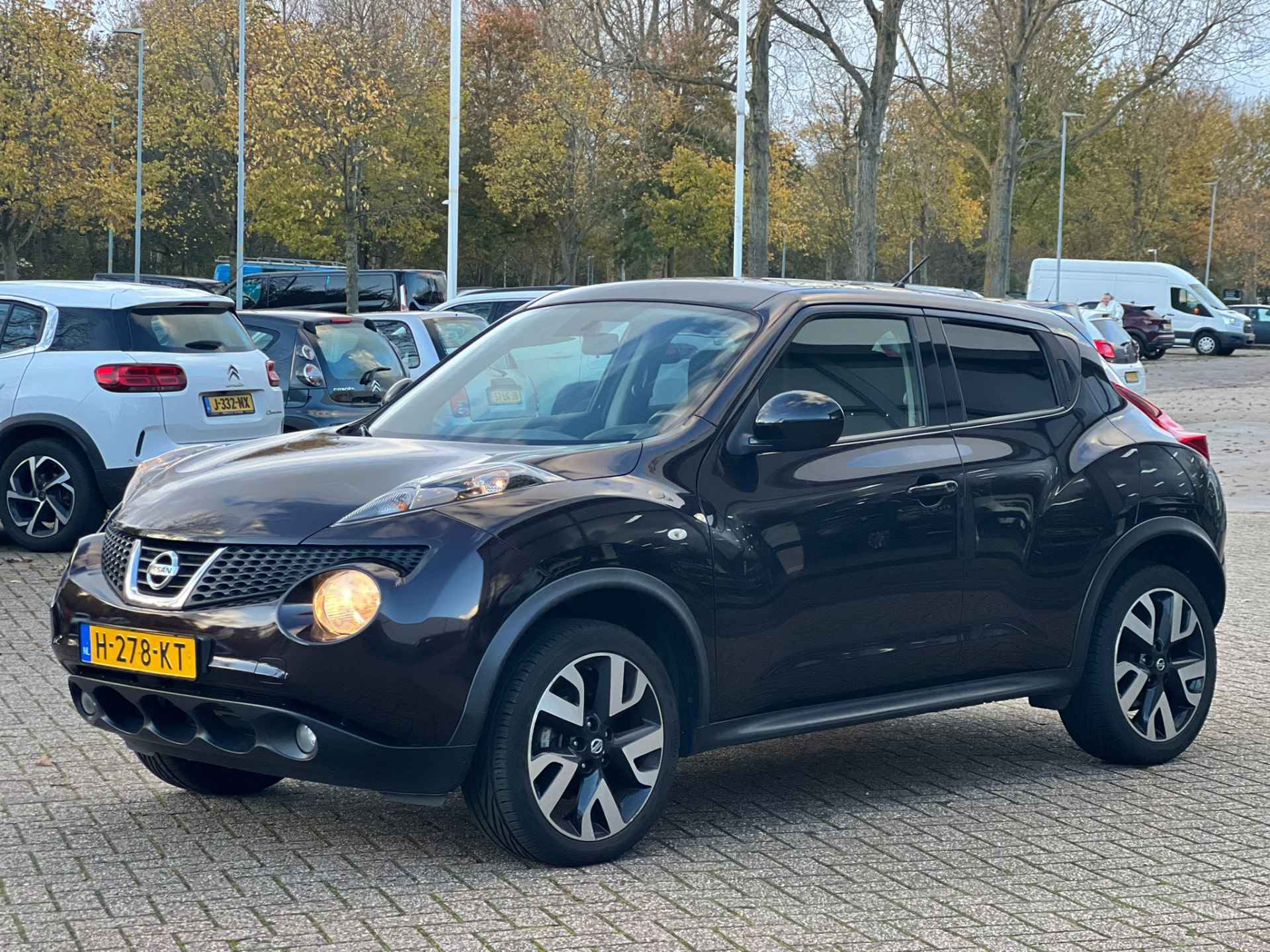 Nissan Juke BOVAG 40-Puntencheck