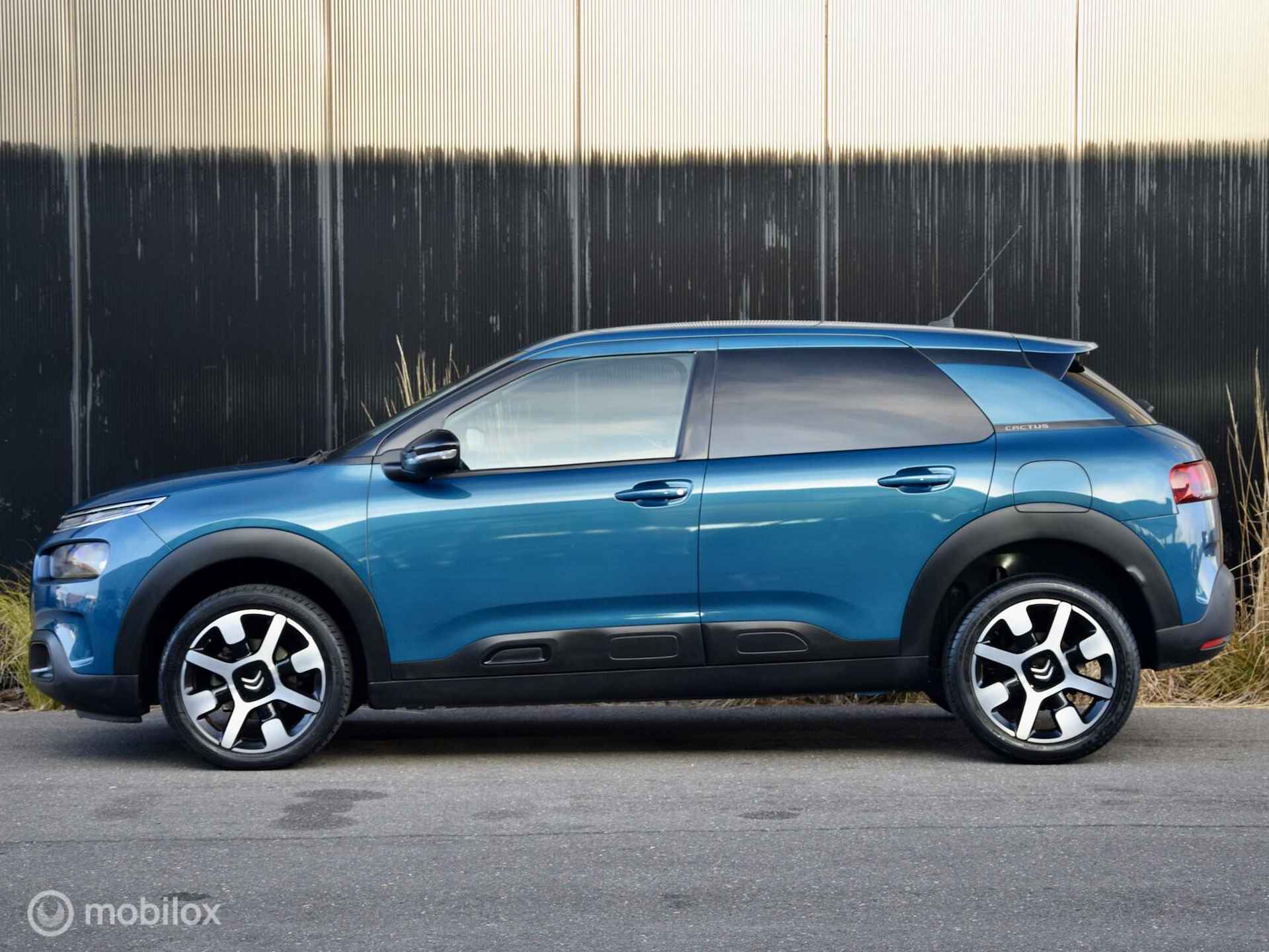 Citroen C4 Cactus 1.2 PureTech Shine Automaat - 3/31