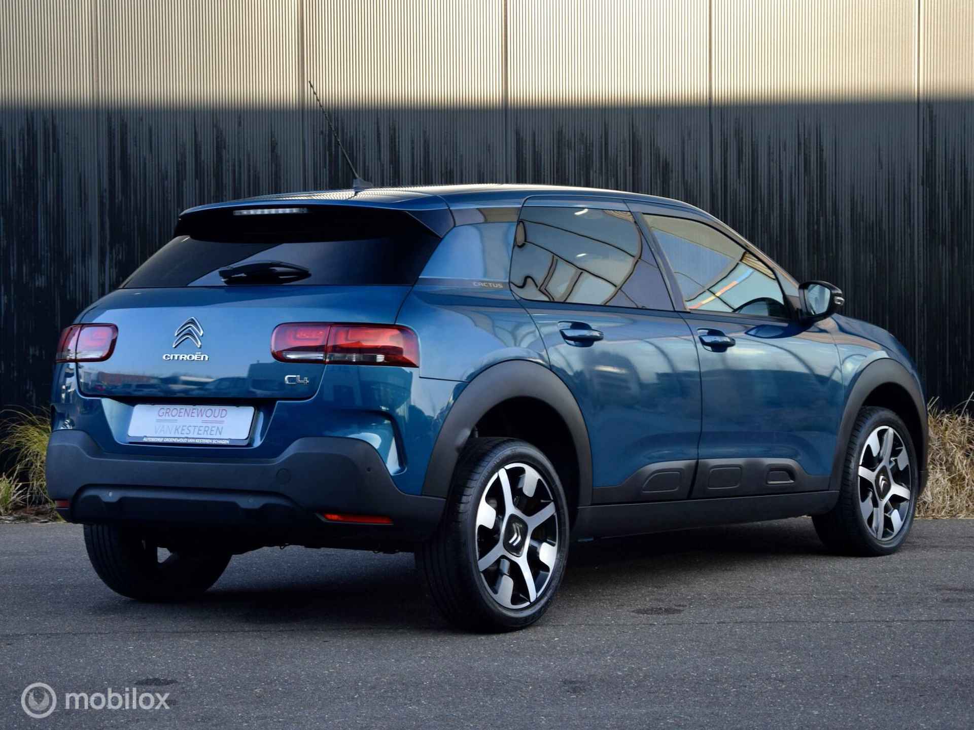 Citroen C4 Cactus 1.2 PureTech Shine Automaat - 4/31