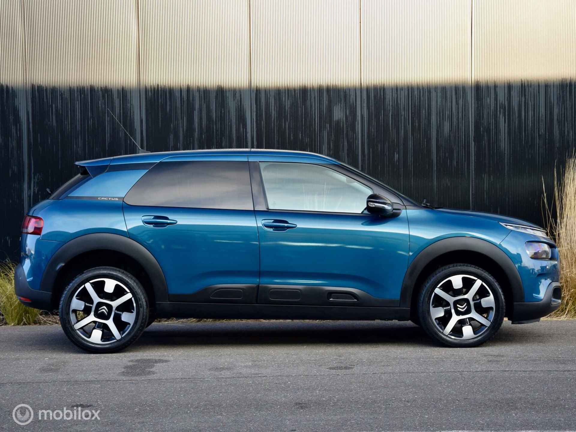 Citroen C4 Cactus 1.2 PureTech Shine Automaat - 6/31