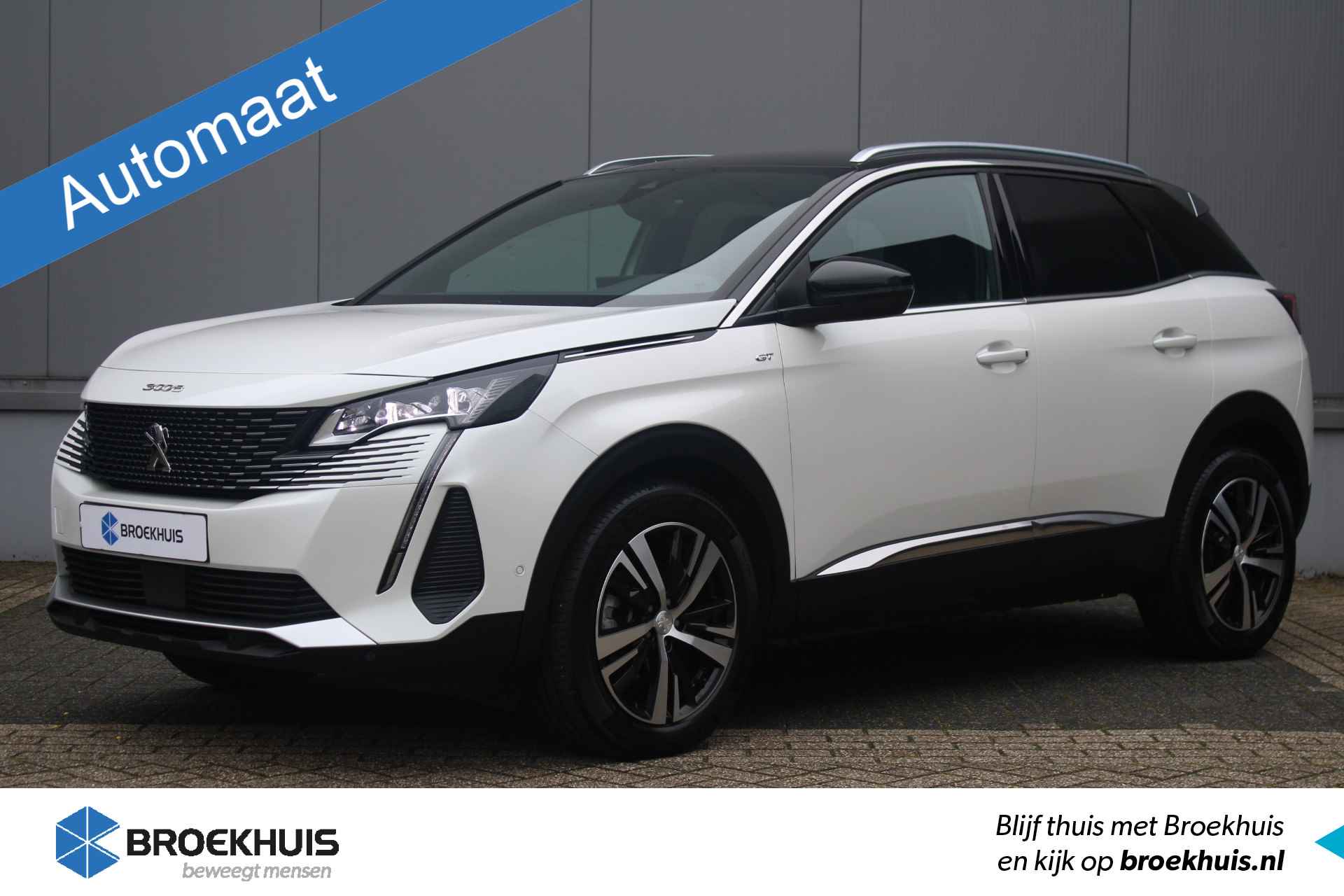 Peugeot 3008 BOVAG 40-Puntencheck