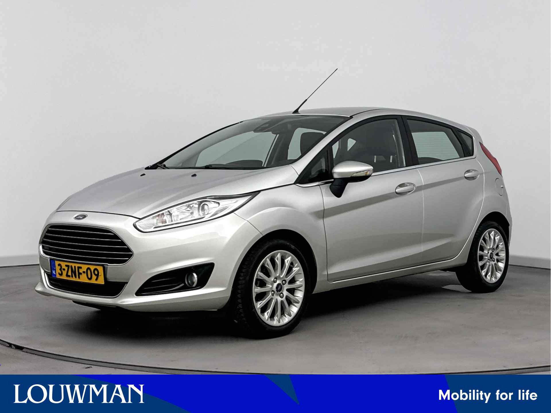 Ford Fiesta BOVAG 40-Puntencheck