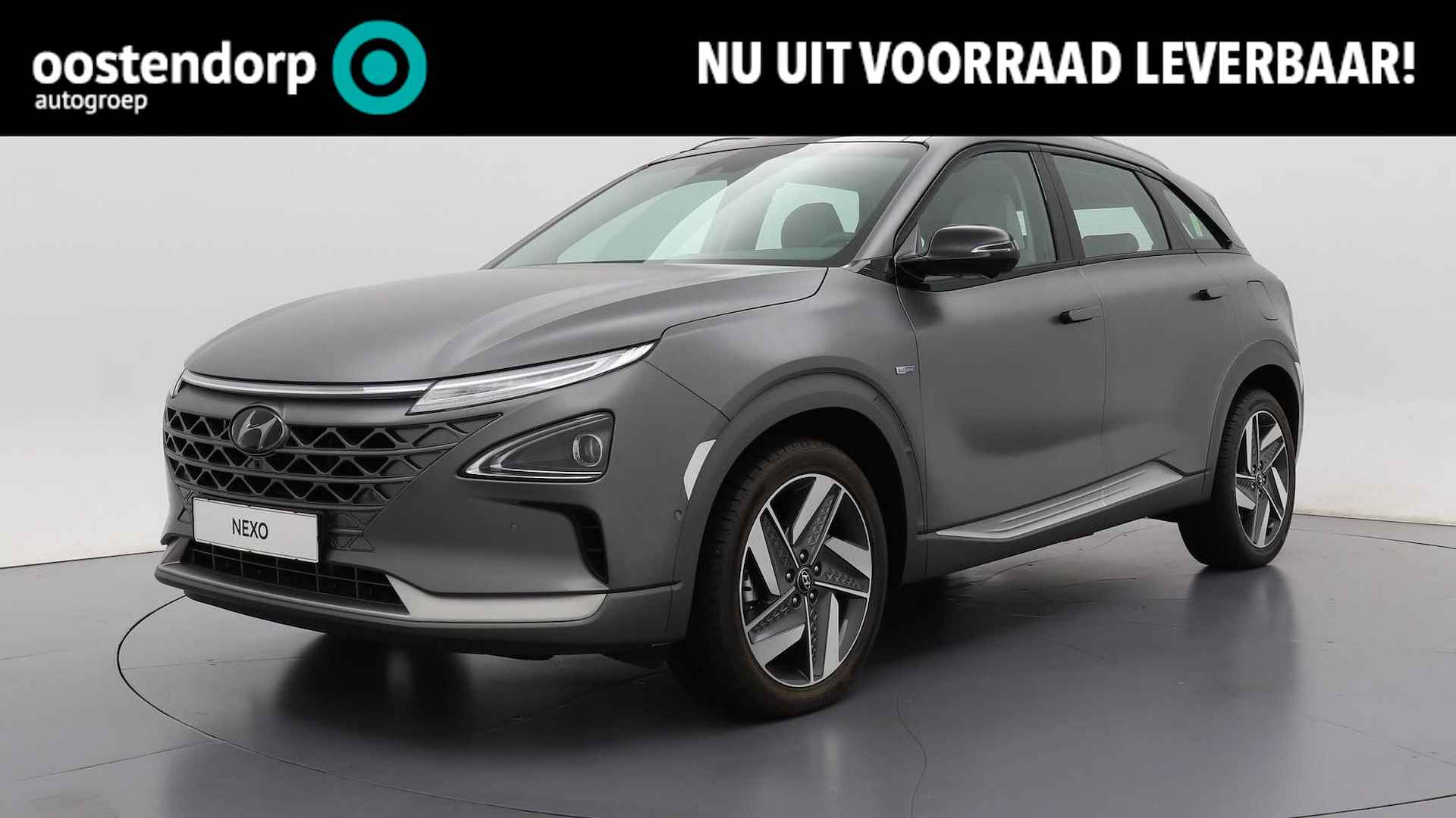 Hyundai Nexo BOVAG 40-Puntencheck