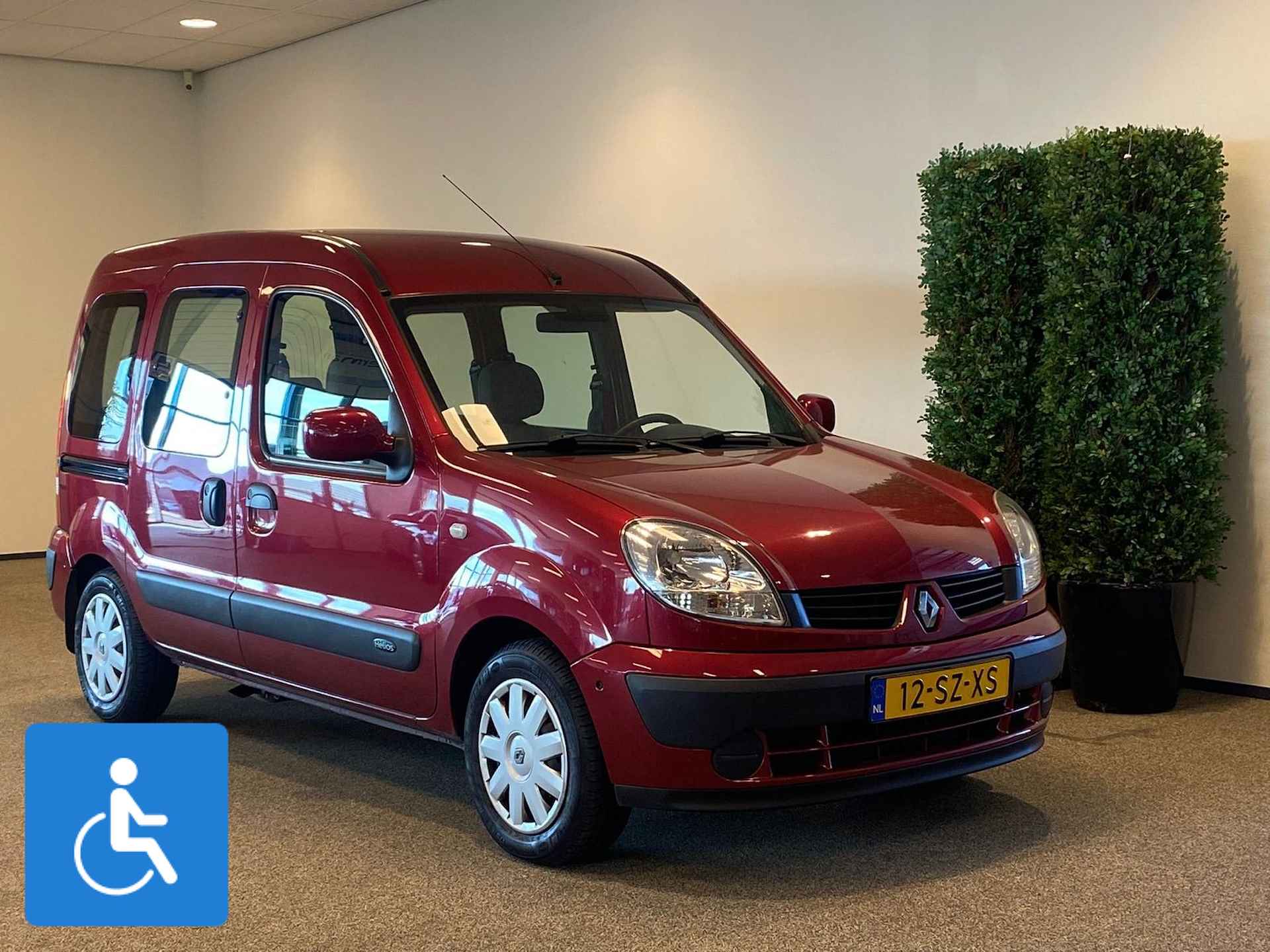 Renault Kangoo BOVAG 40-Puntencheck