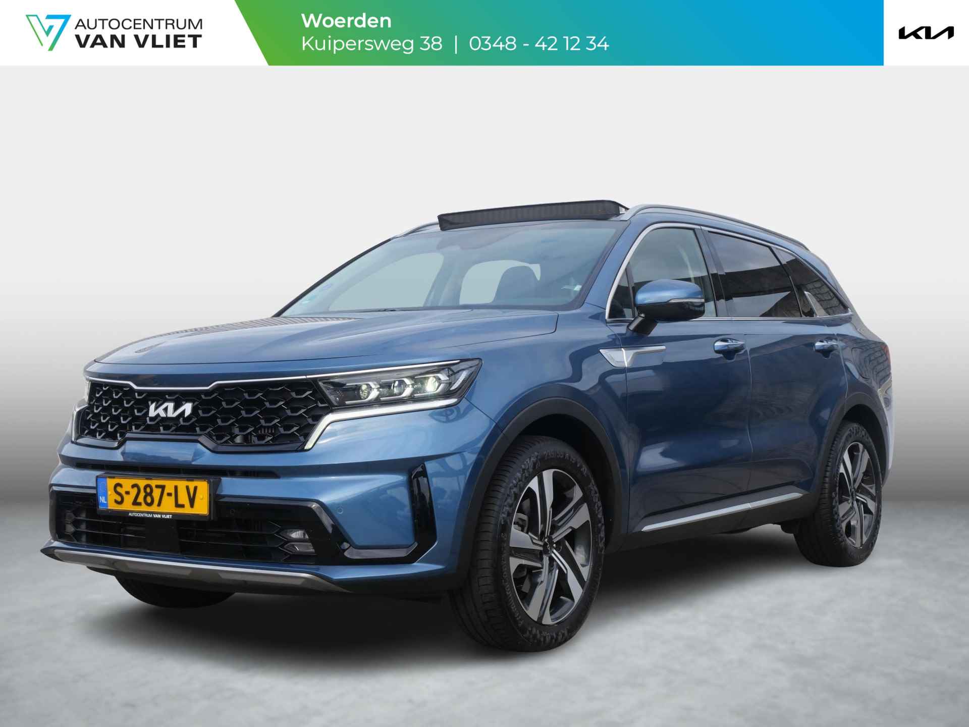 Kia Sorento BOVAG 40-Puntencheck