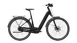 Advanced Ebike Das Original TOUR Pro Wave 50 DEMO / Grey Black Act Pl. 50 / 50 Lage instap Grey Black 50cm 2024