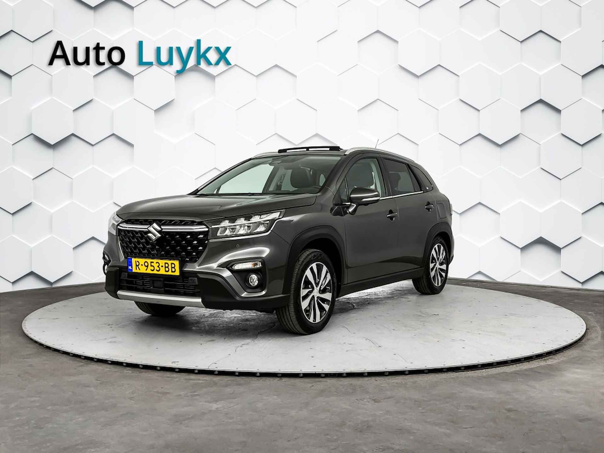 Suzuki S-Cross BOVAG 40-Puntencheck