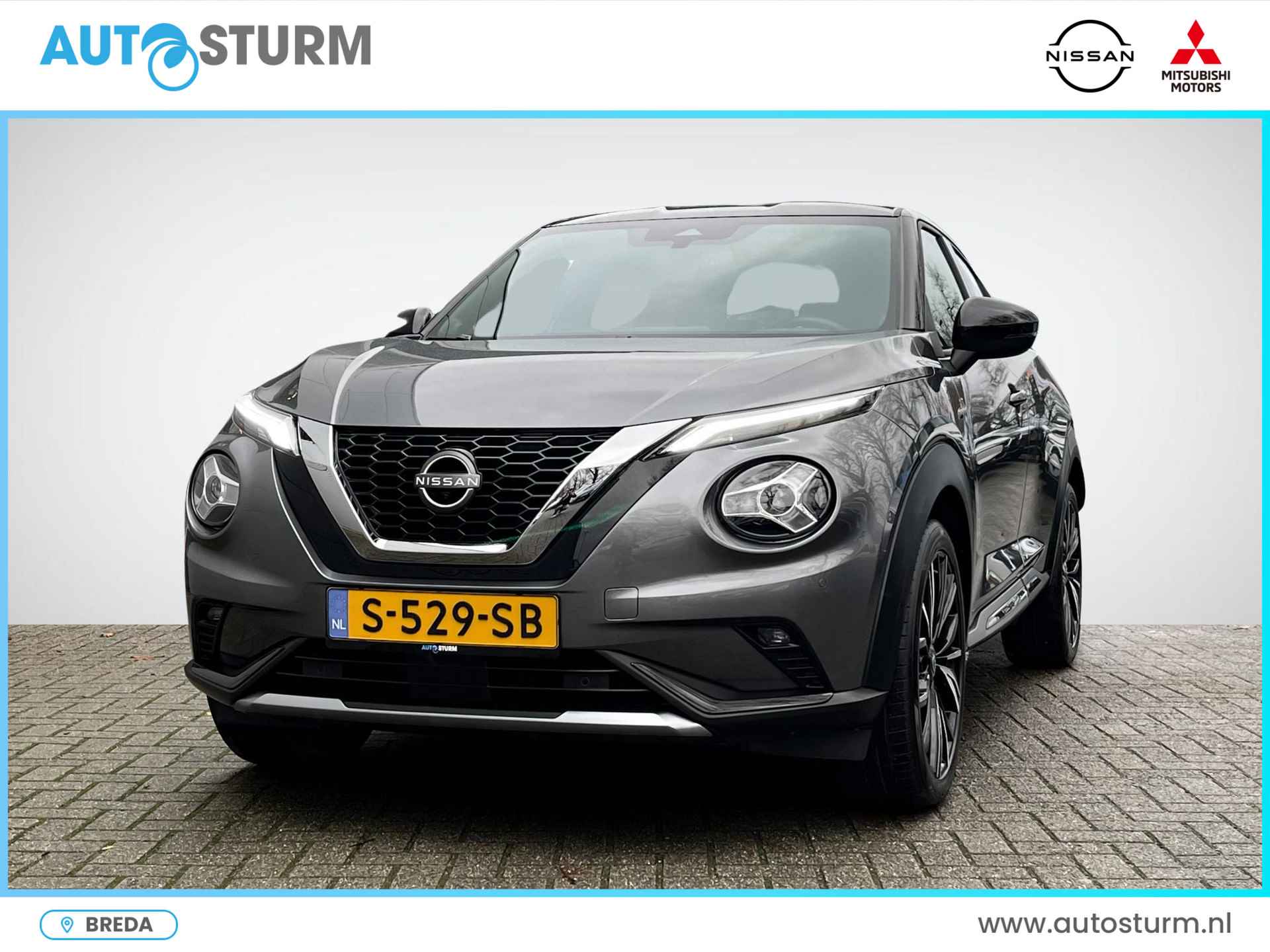 Nissan Juke BOVAG 40-Puntencheck