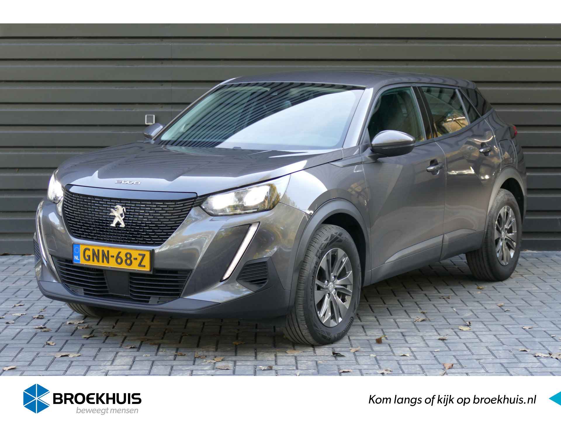 Peugeot 2008 BOVAG 40-Puntencheck