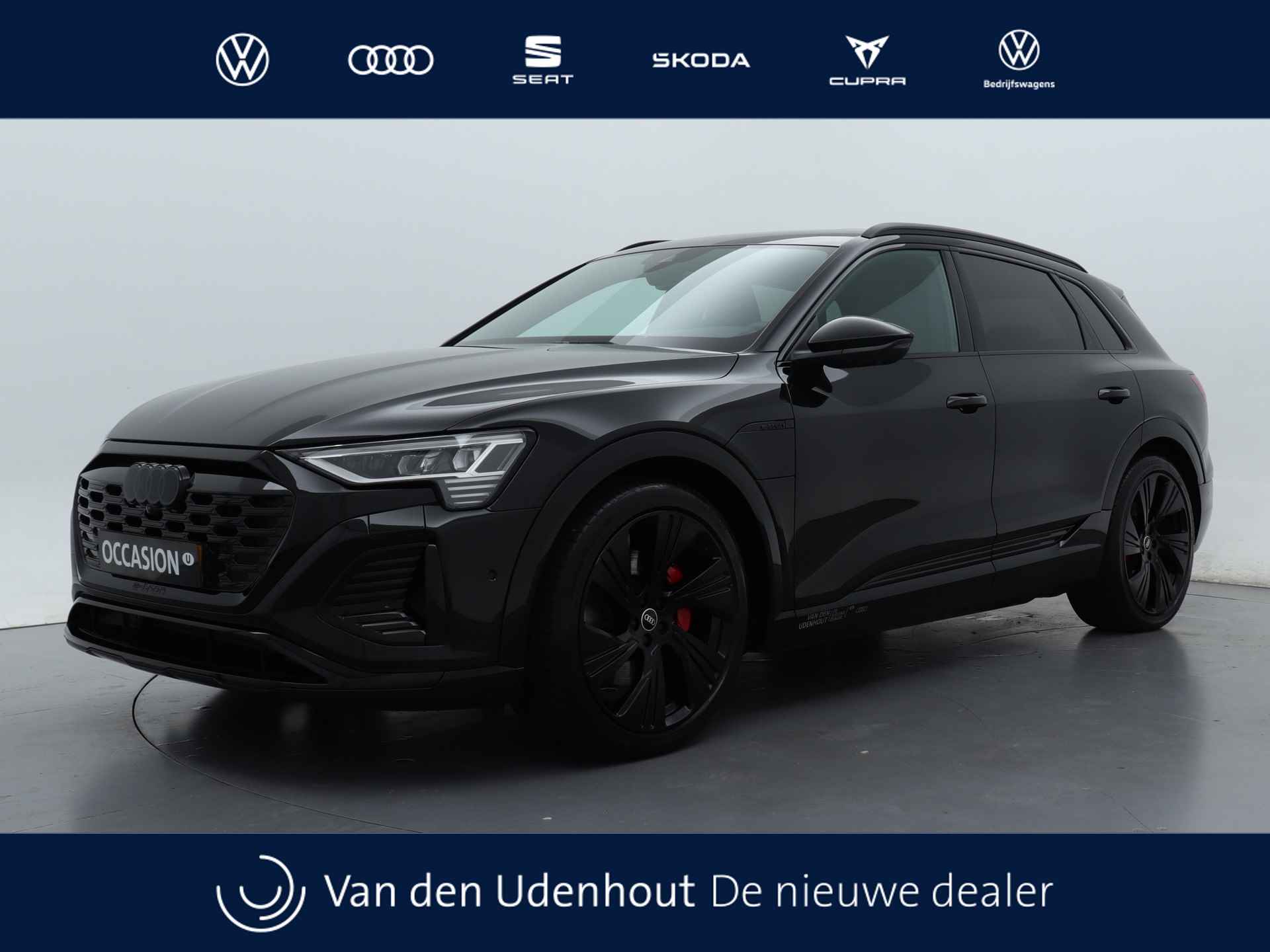 Audi Q8 e-tron BOVAG 40-Puntencheck