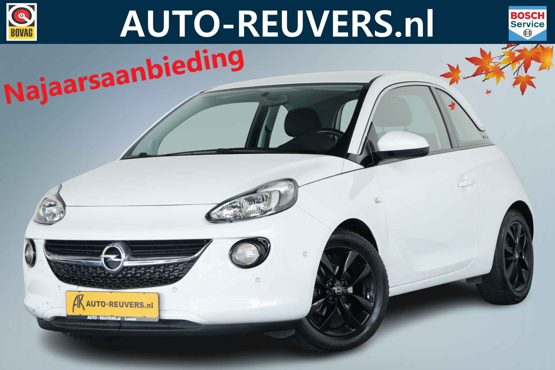 Opel Adam BOVAG 40-Puntencheck