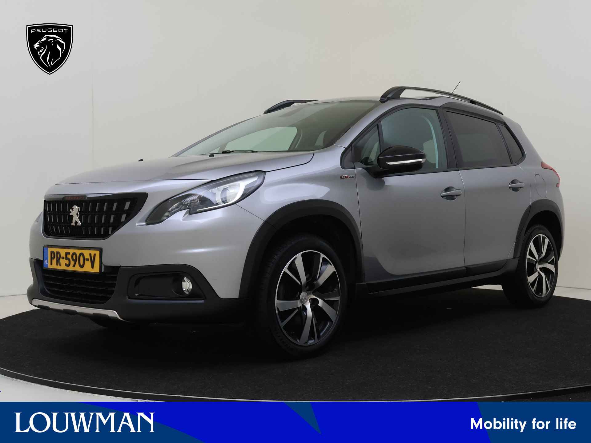 Peugeot 2008 BOVAG 40-Puntencheck