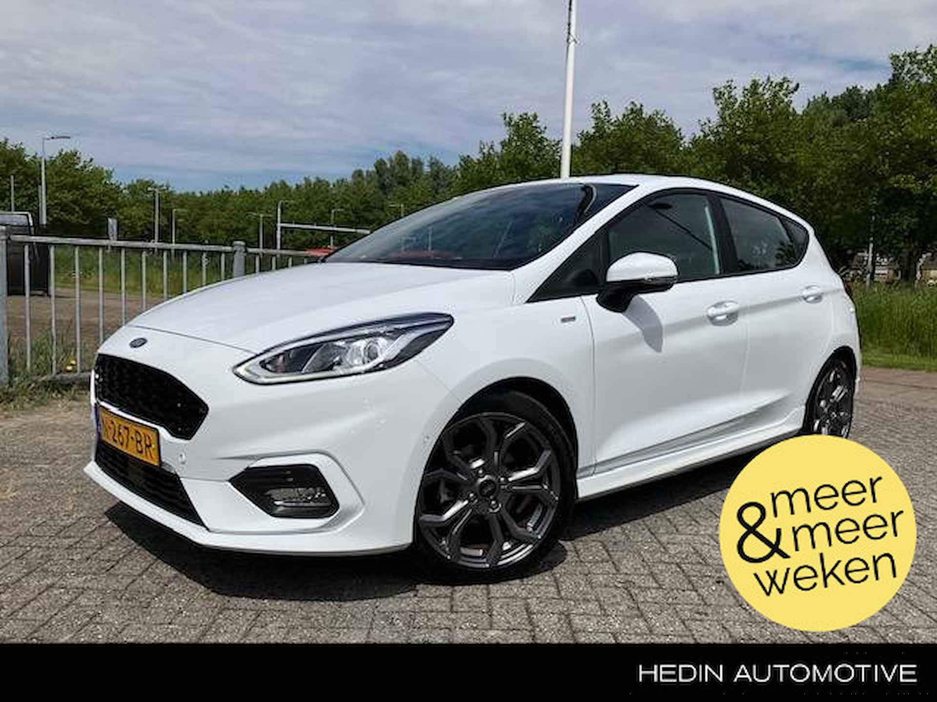 Ford Fiesta BOVAG 40-Puntencheck