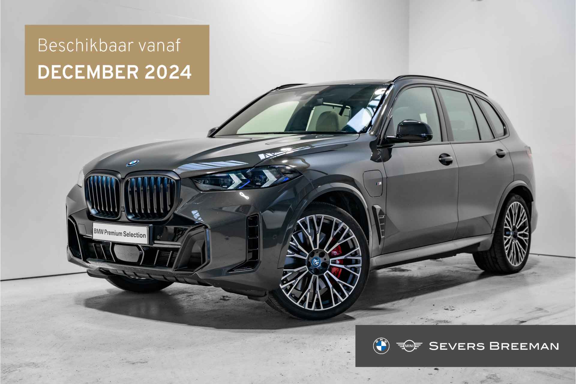 BMW X5 BOVAG 40-Puntencheck