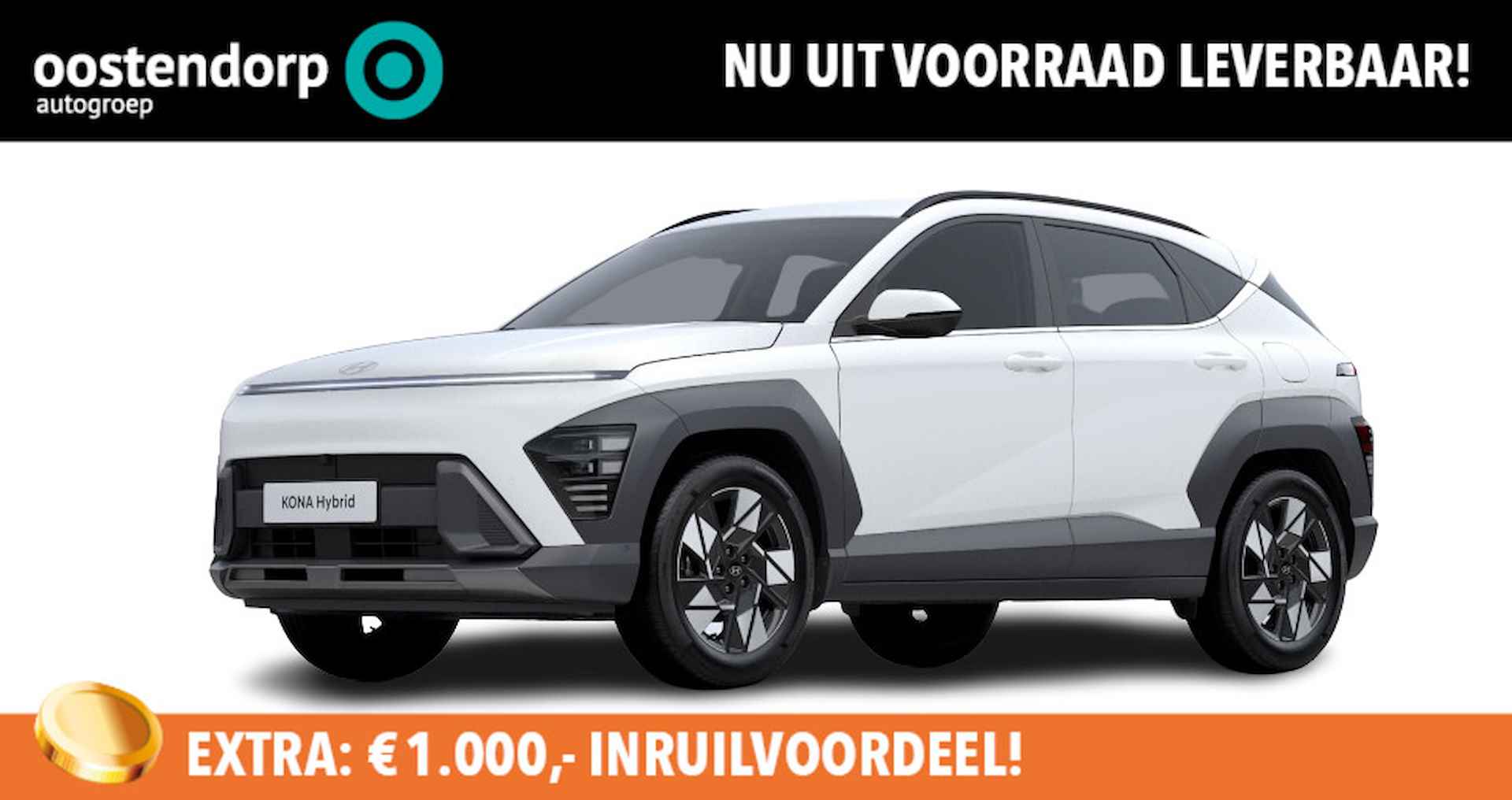 Hyundai Kona BOVAG 40-Puntencheck