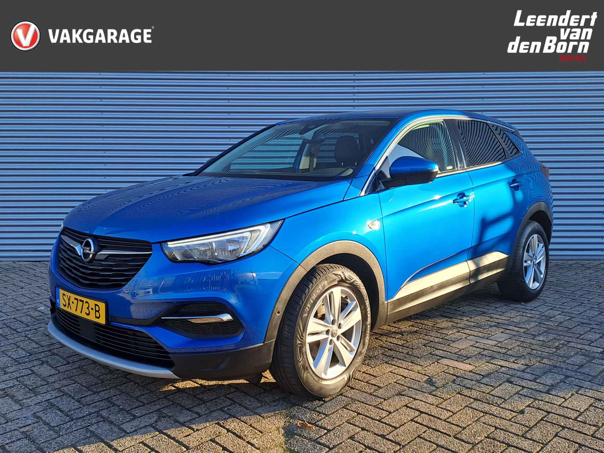 Opel Grandland X BOVAG 40-Puntencheck