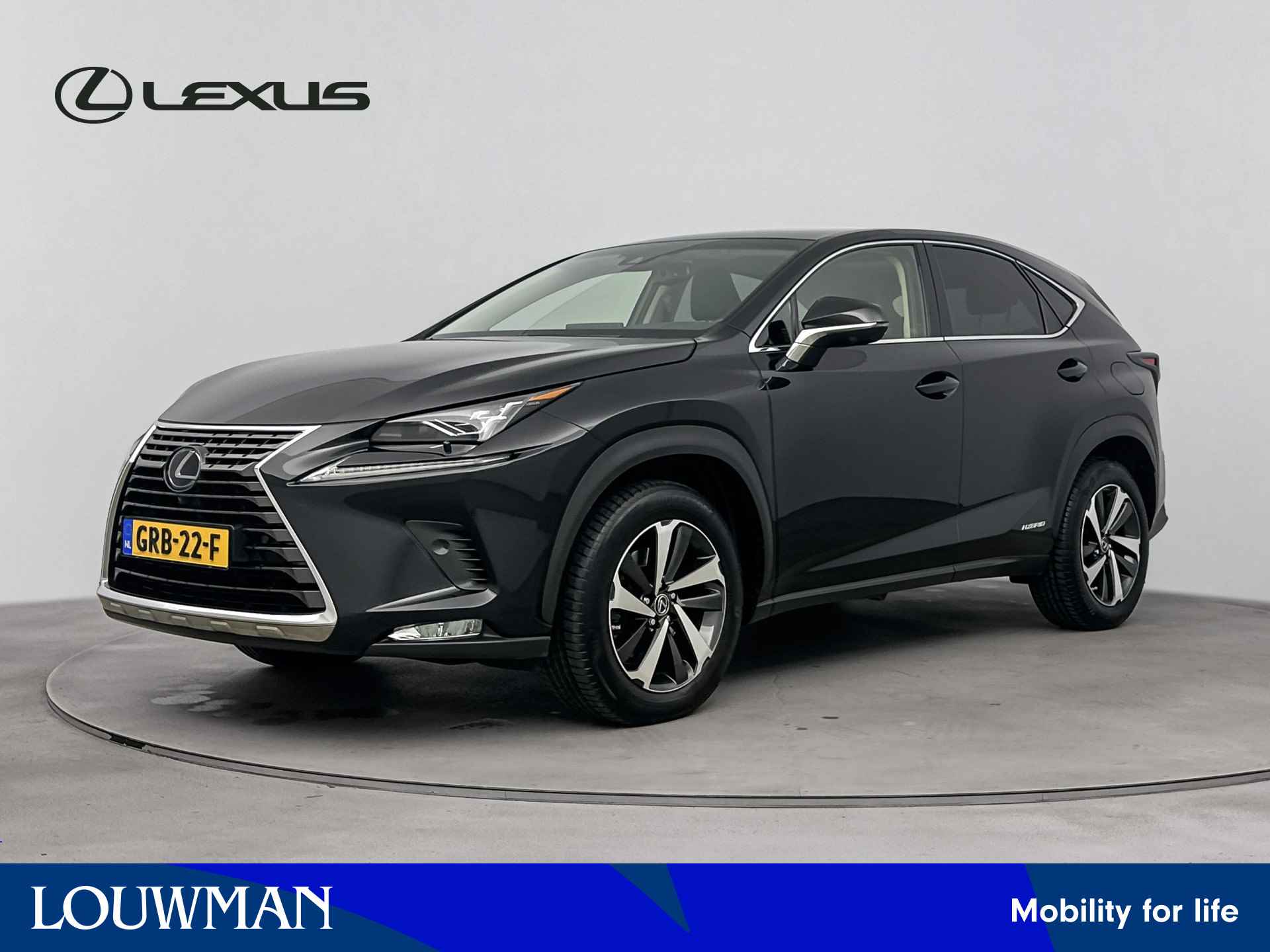 Lexus NX BOVAG 40-Puntencheck