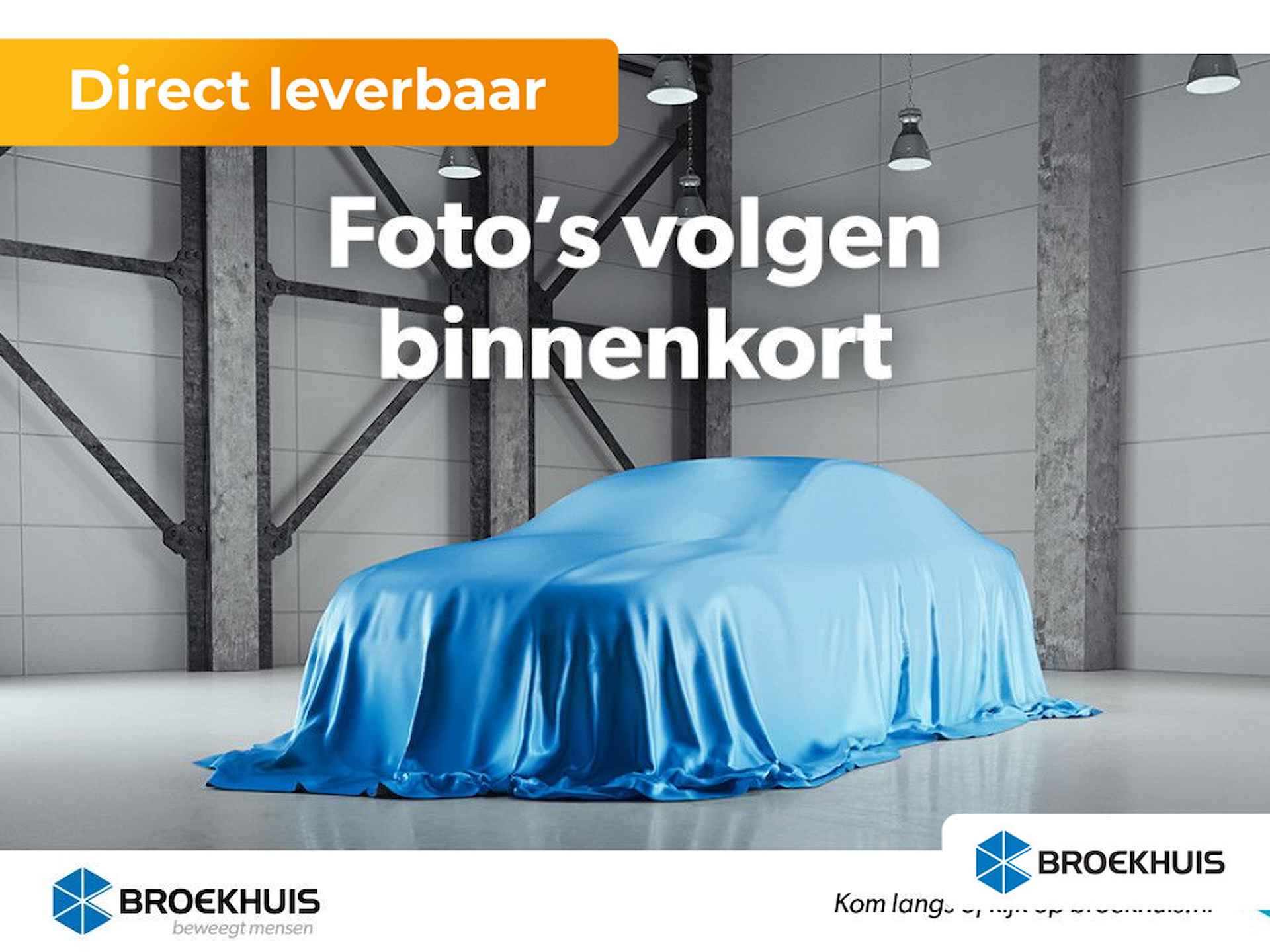 Citroën C4 BOVAG 40-Puntencheck