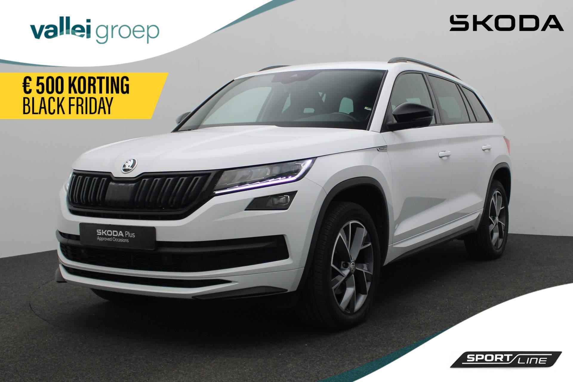 Škoda Kodiaq BOVAG 40-Puntencheck