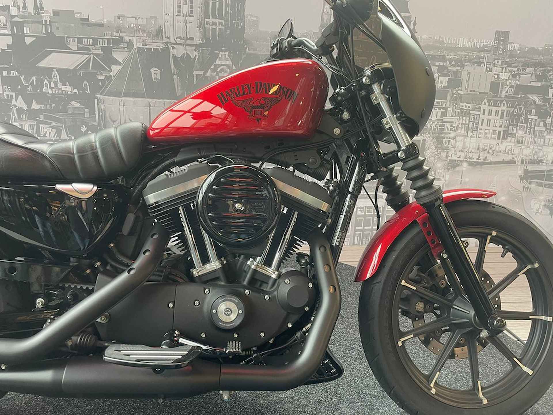 Harley-Davidson IRON 883 - 2/8