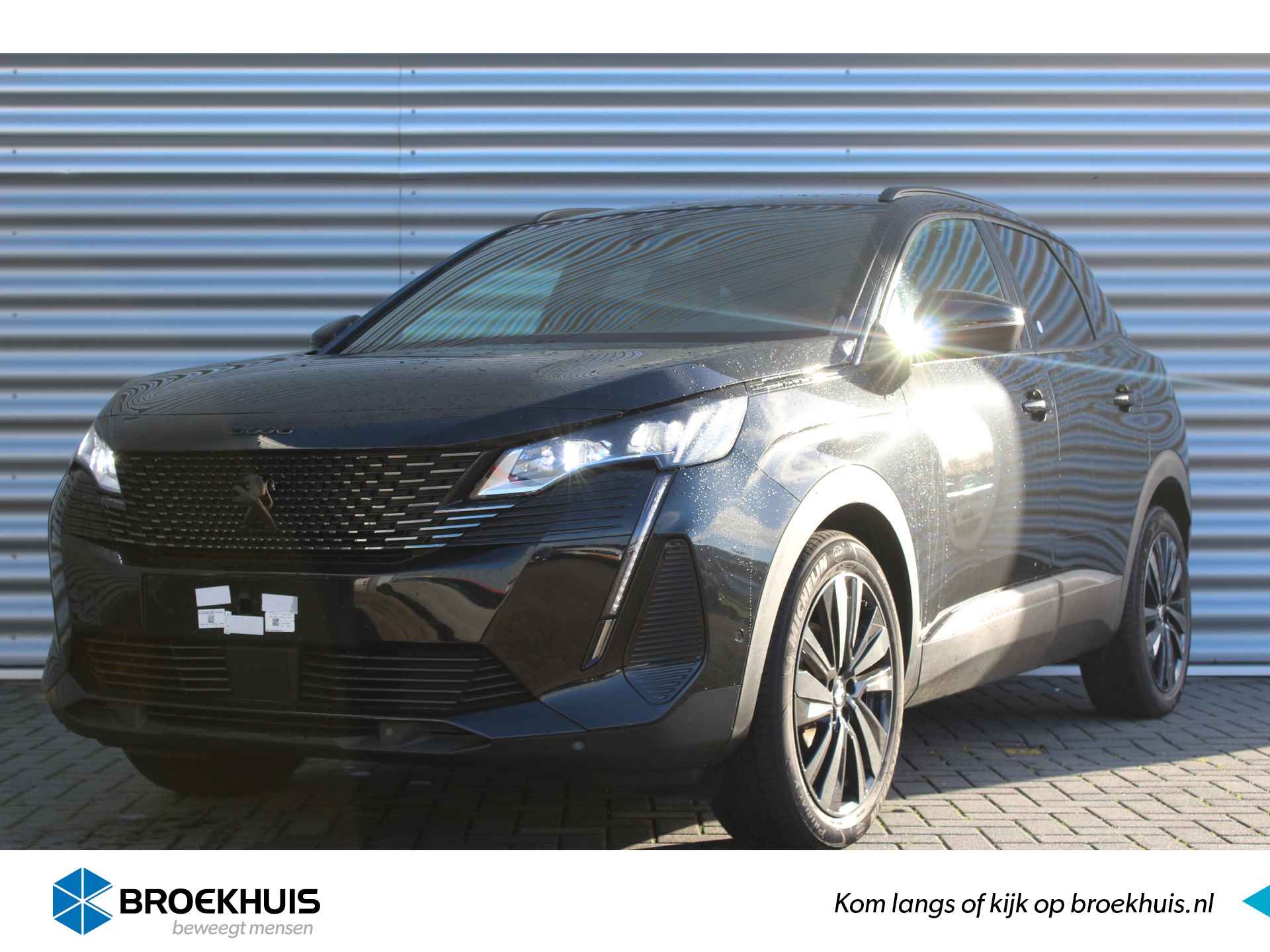 Peugeot 3008 BOVAG 40-Puntencheck