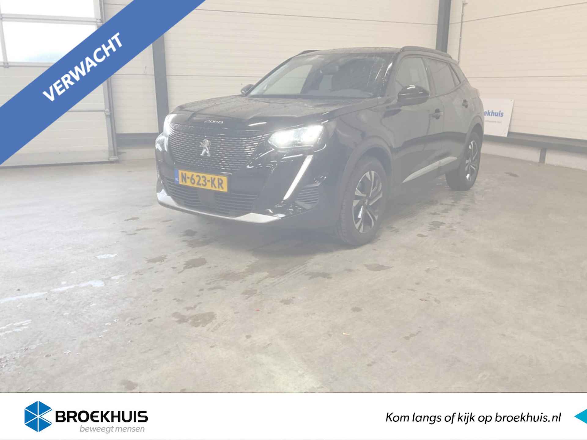 Peugeot 2008 BOVAG 40-Puntencheck