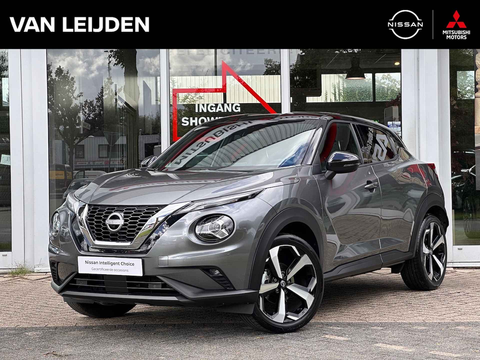 Nissan Juke BOVAG 40-Puntencheck