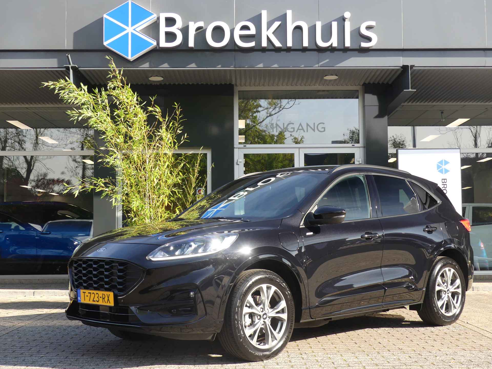 Ford Kuga BOVAG 40-Puntencheck