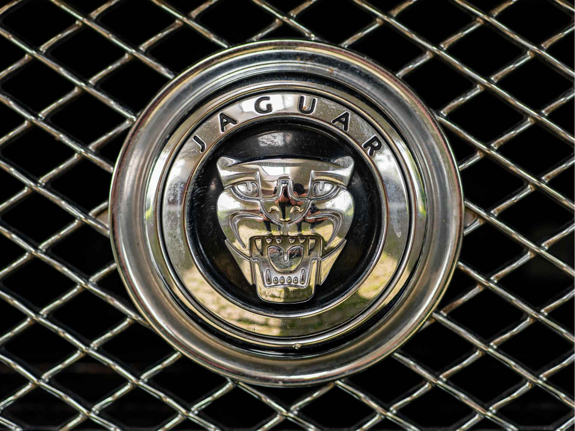 Jaguar XK 5.0 V8 Convertible | NIEUWSTAAT | BTW voertuig | - 39/50