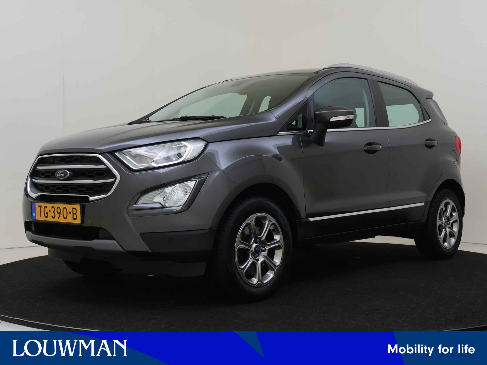 Ford EcoSport BOVAG 40-Puntencheck