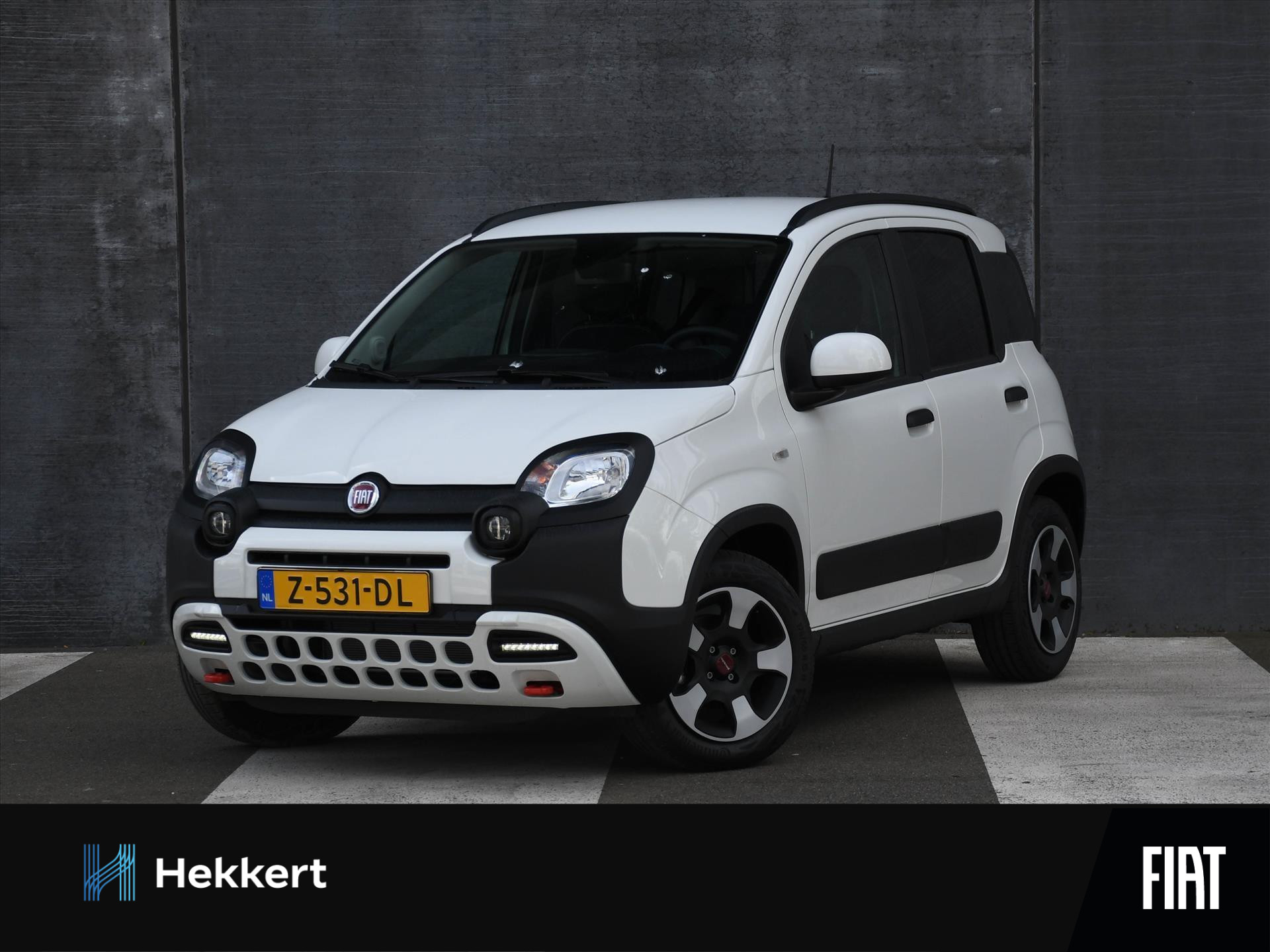 Fiat Panda Cross 1.0 Hybrid 70pk USB | CITY DRIVING MODE | PDC ACHTER | DAB