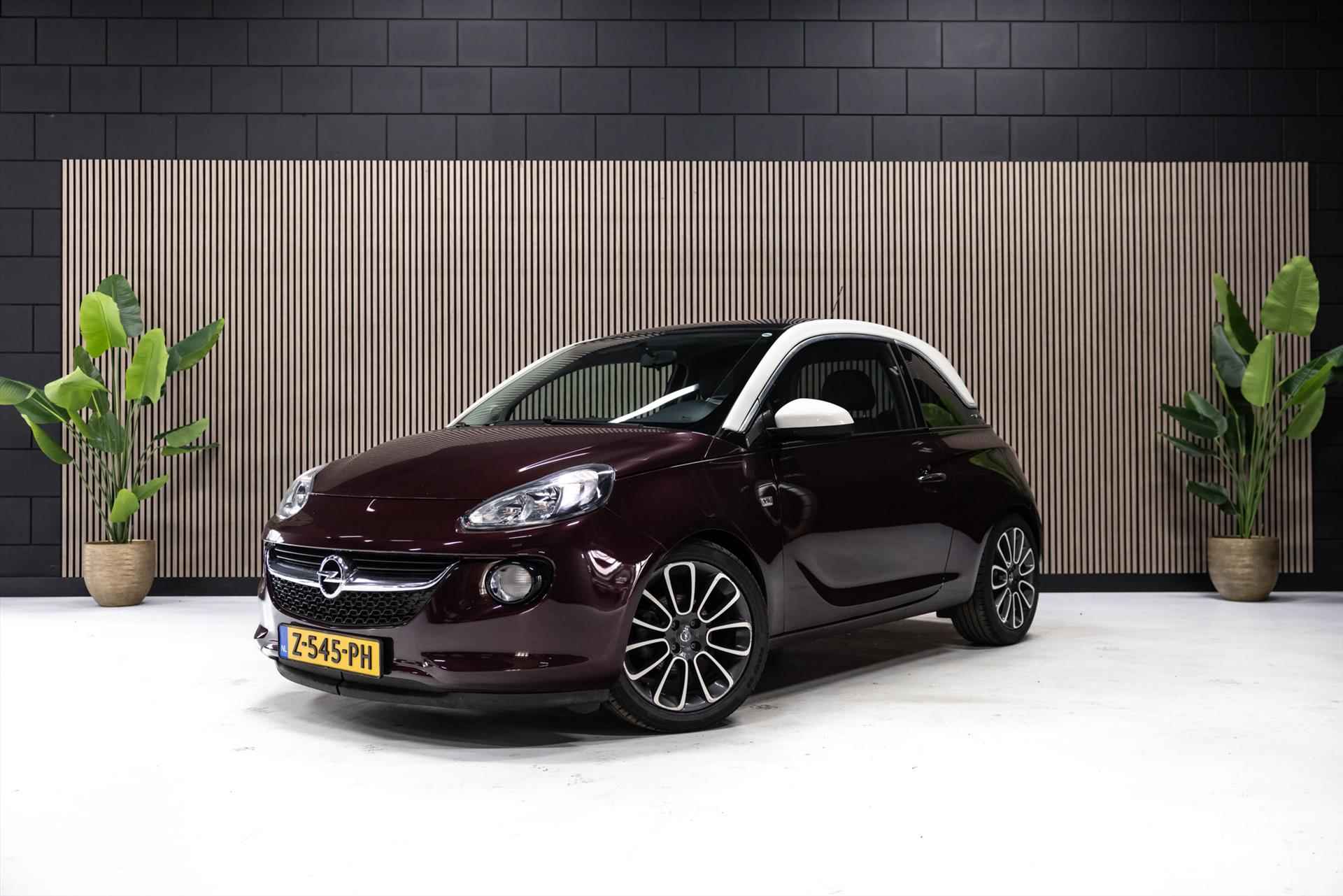 Opel Adam BOVAG 40-Puntencheck