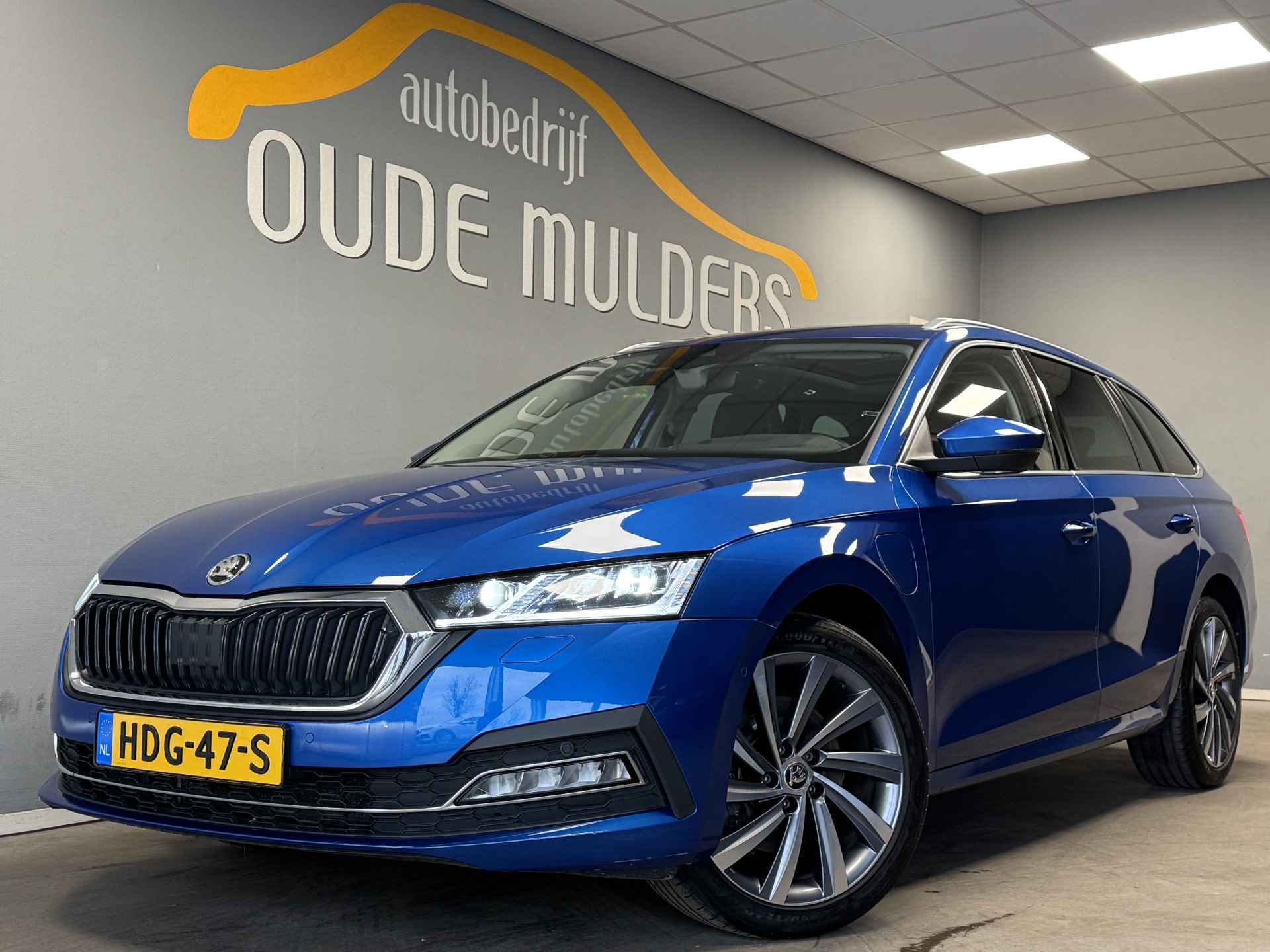 Škoda Octavia BOVAG 40-Puntencheck