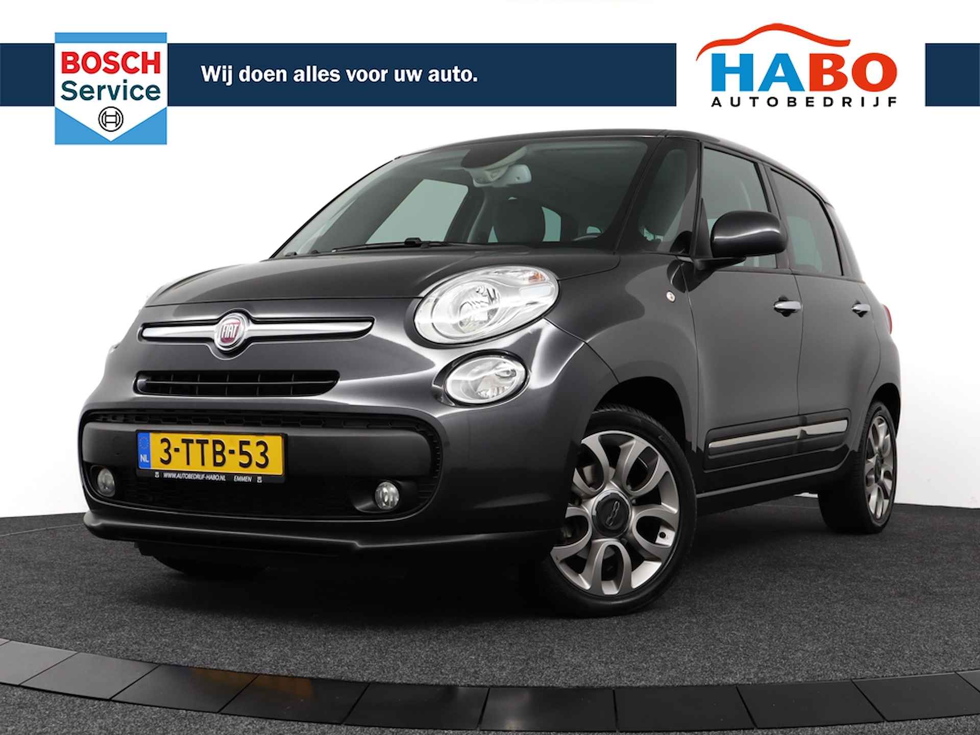 Fiat 500L BOVAG 40-Puntencheck