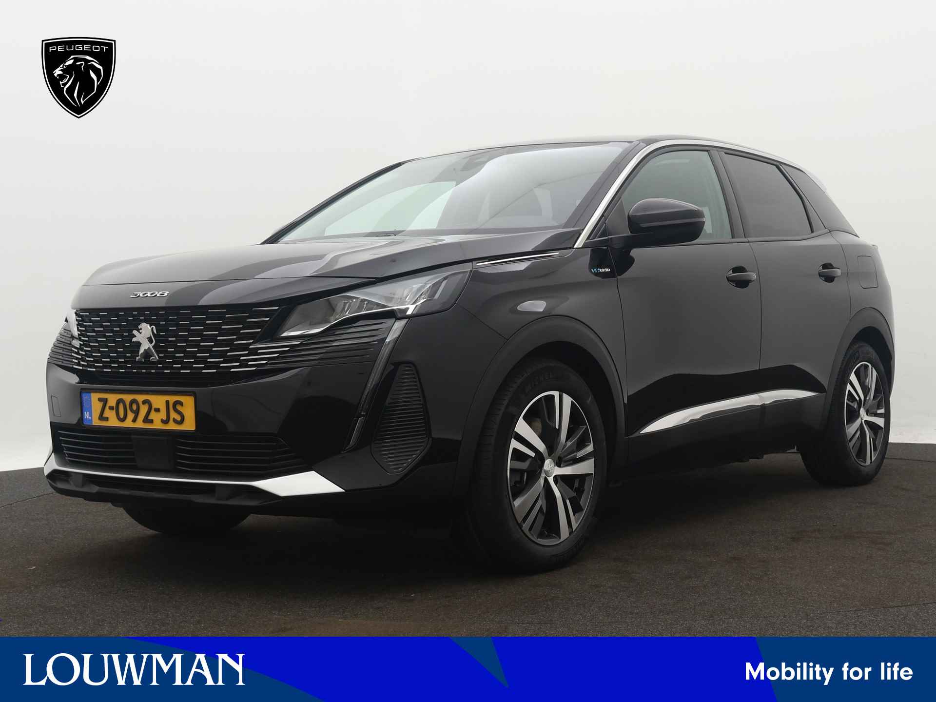 Peugeot 3008 BOVAG 40-Puntencheck