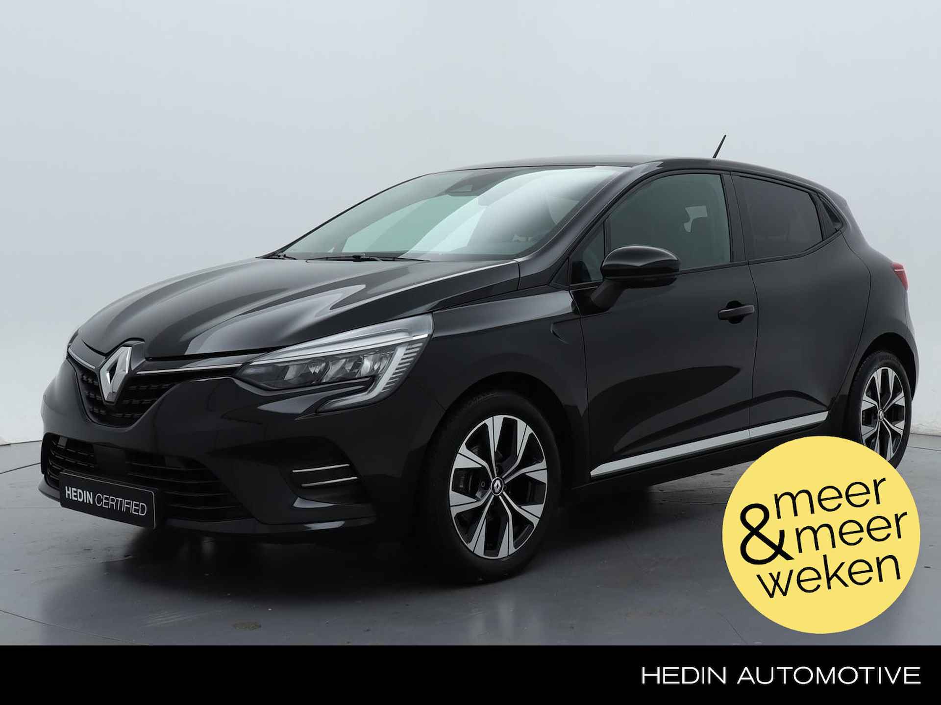 Renault Clio BOVAG 40-Puntencheck