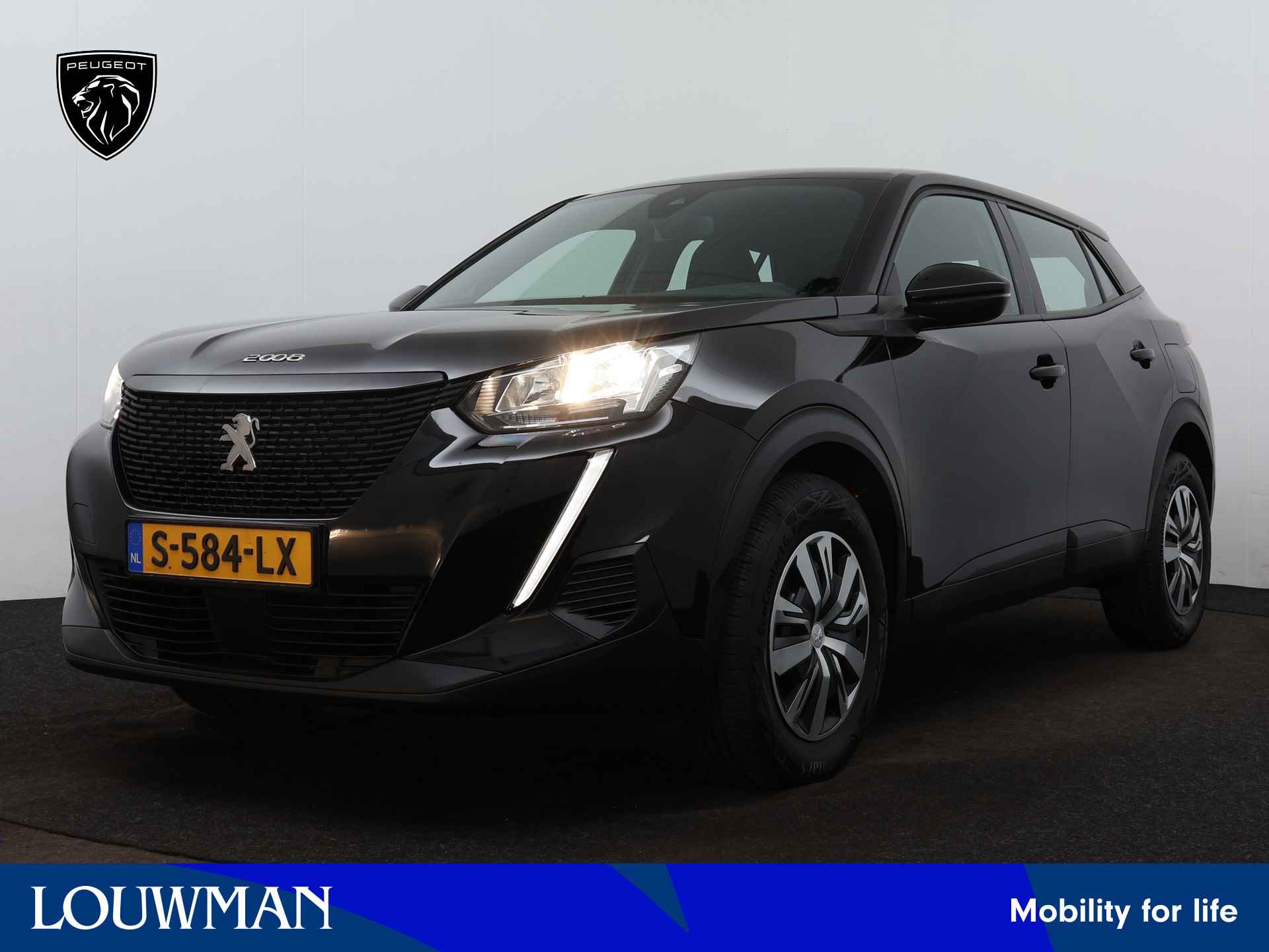 Peugeot 2008 BOVAG 40-Puntencheck