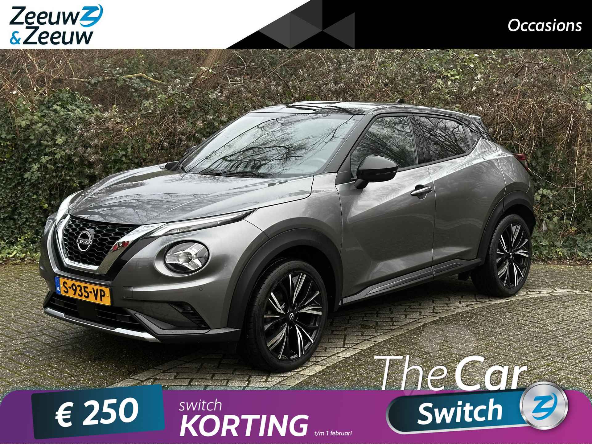 Nissan Juke BOVAG 40-Puntencheck