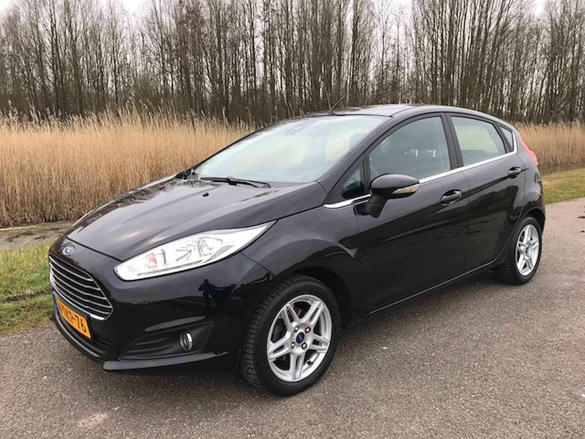 Ford Fiesta BOVAG 40-Puntencheck