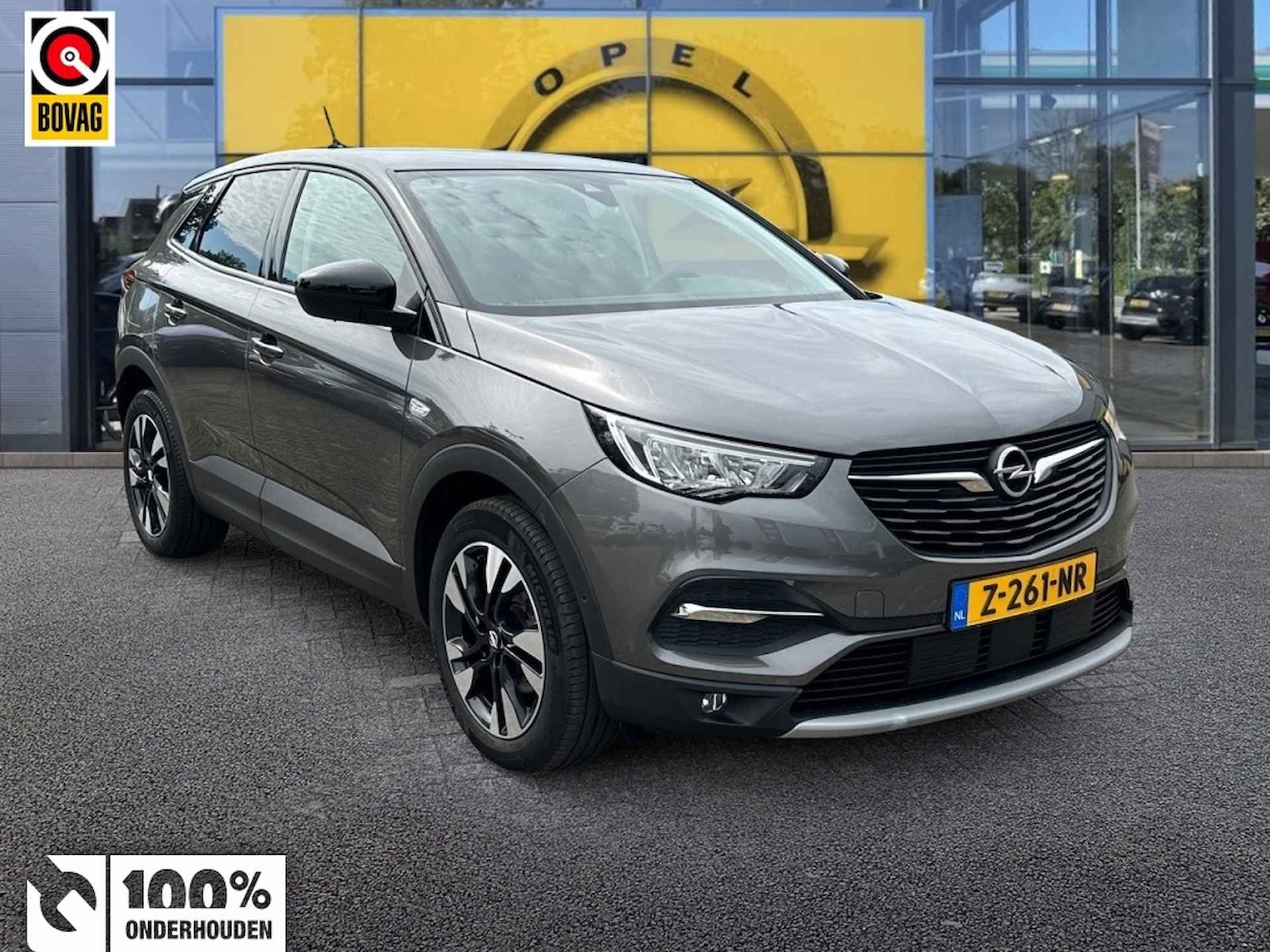 Opel Grandland X BOVAG 40-Puntencheck