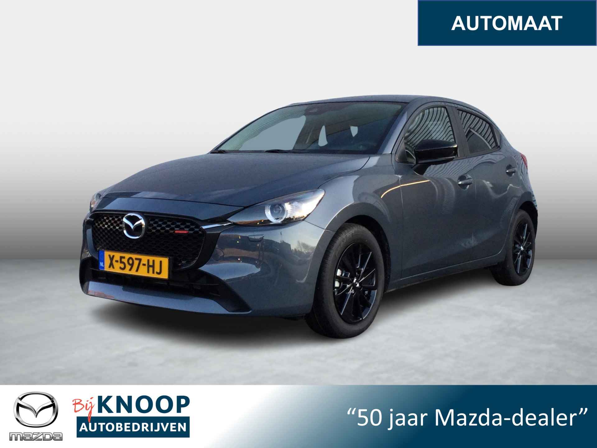 Mazda 2 BOVAG 40-Puntencheck