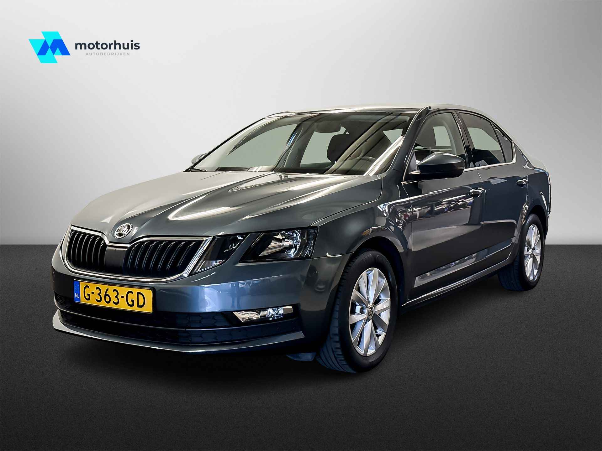 Škoda Octavia BOVAG 40-Puntencheck