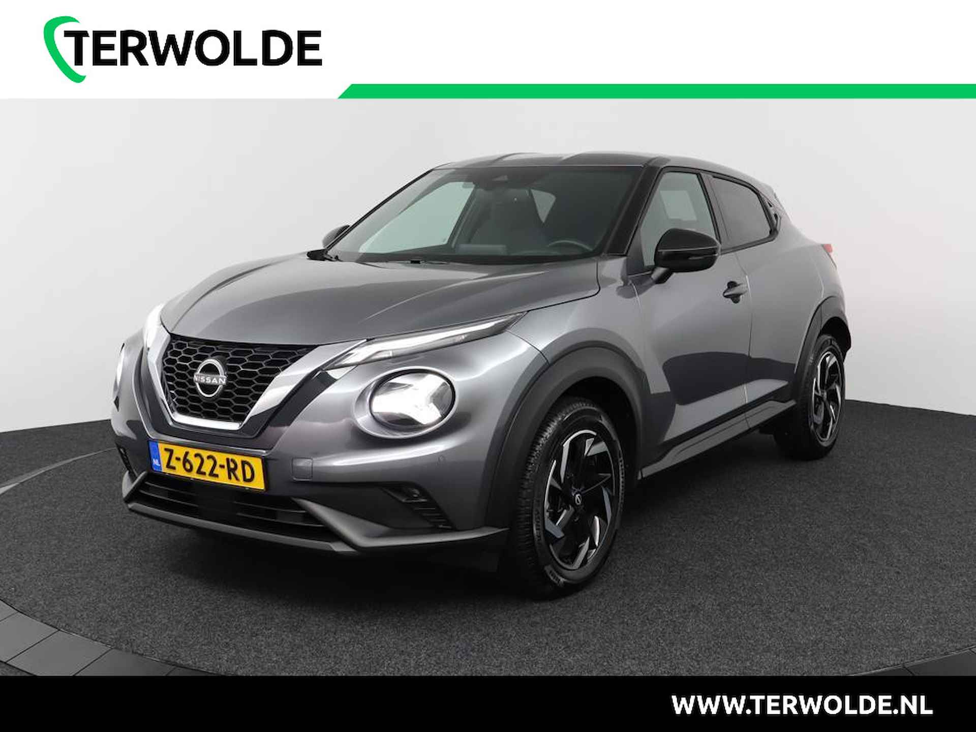 Nissan Juke BOVAG 40-Puntencheck