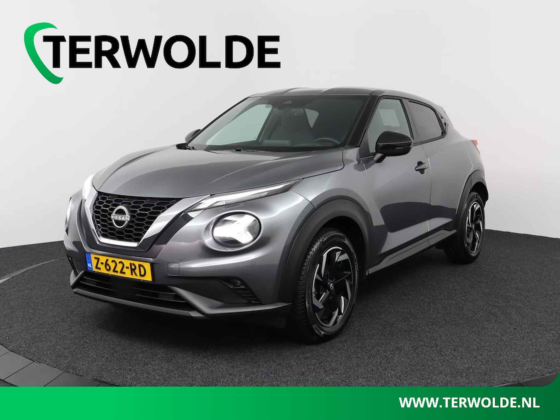 Nissan Juke BOVAG 40-Puntencheck