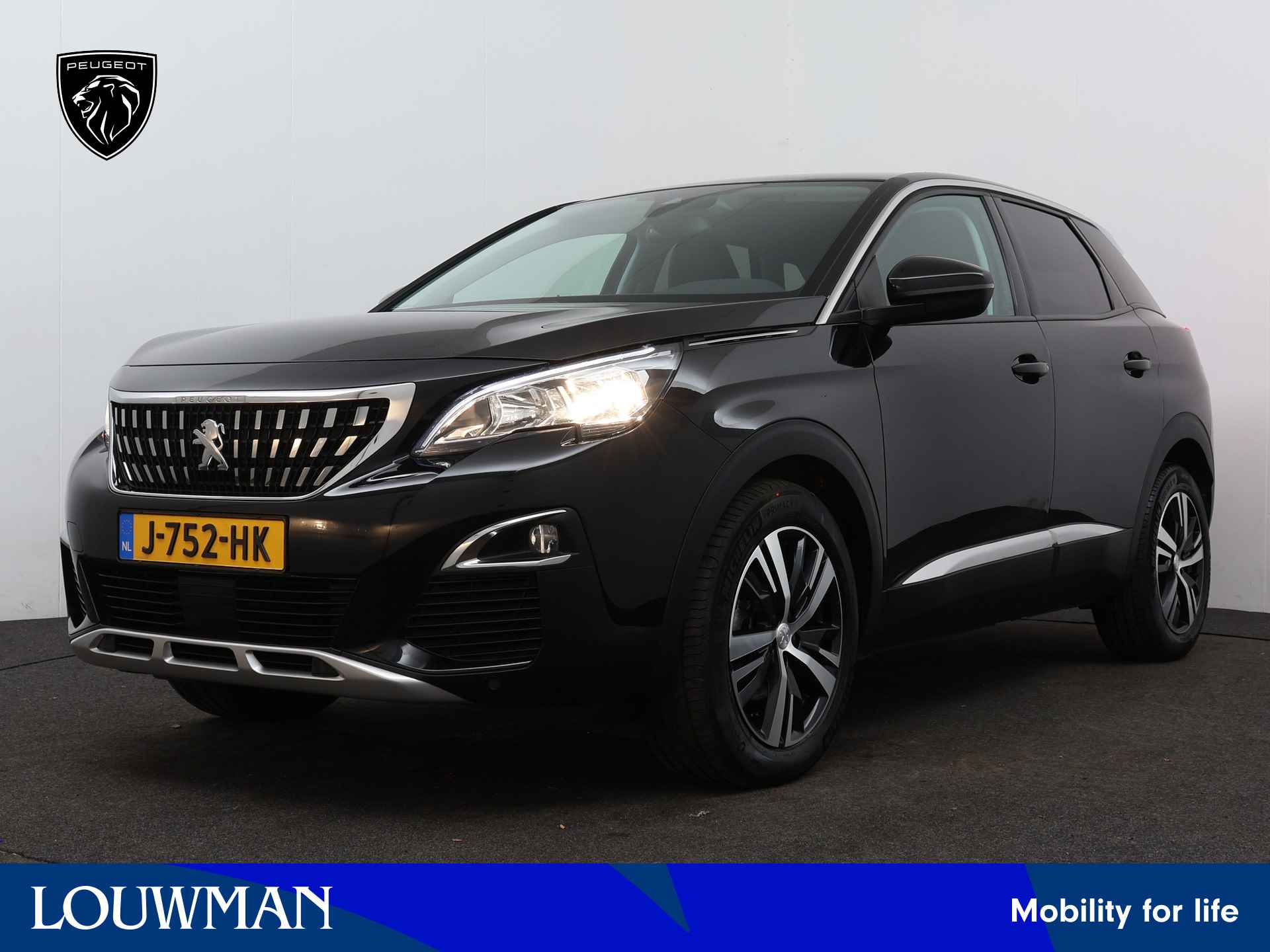 Peugeot 3008 BOVAG 40-Puntencheck