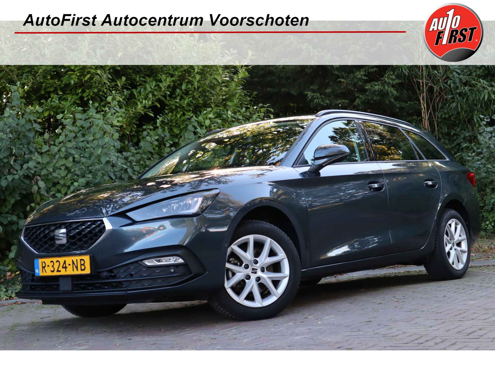 Seat Leon BOVAG 40-Puntencheck